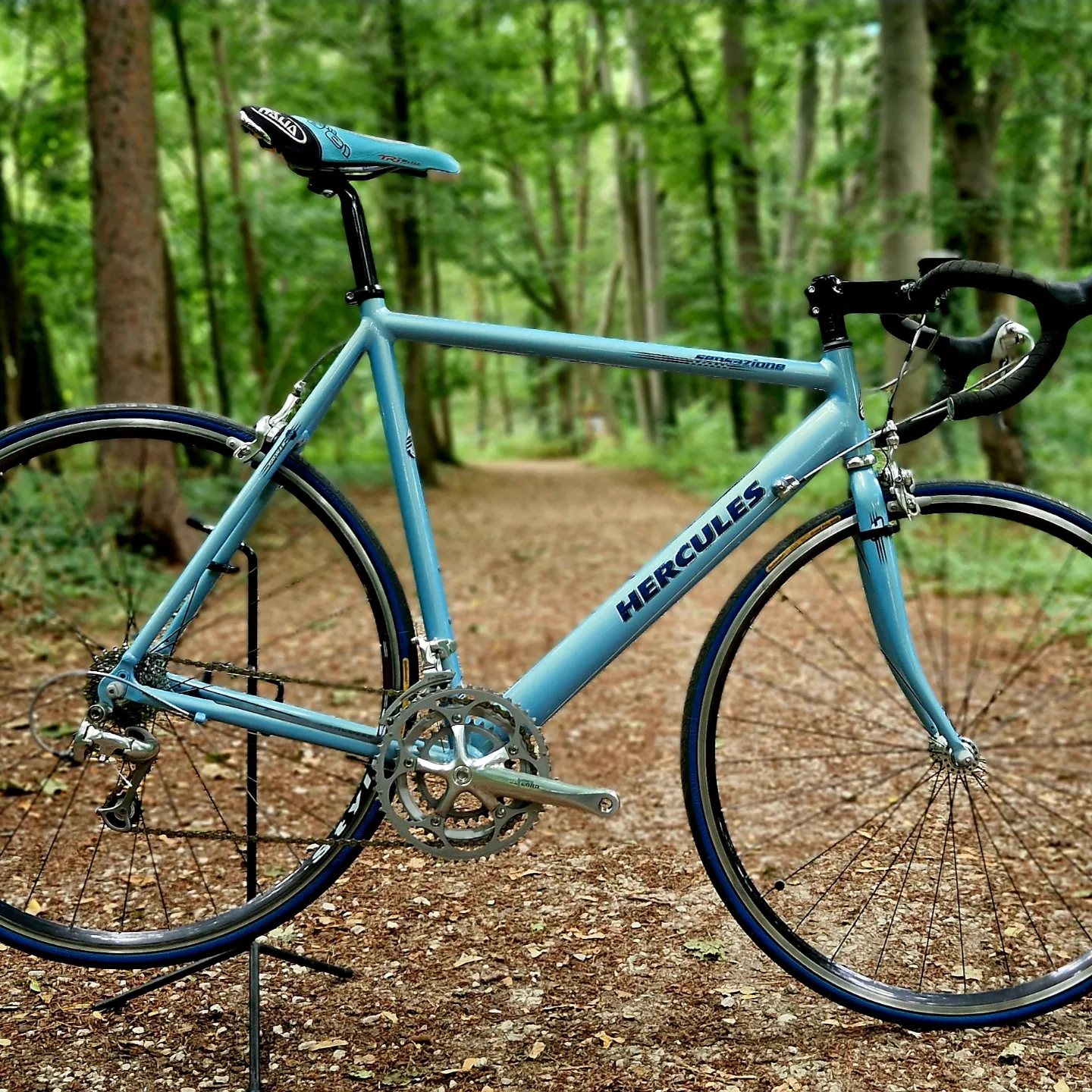 markisen paradies gutschein code SONGMICS Gartentor aus verzinktem Stahl E-Bike kaufen in Hilden Holiday2025 Model:Electric EP5 (60Nm)