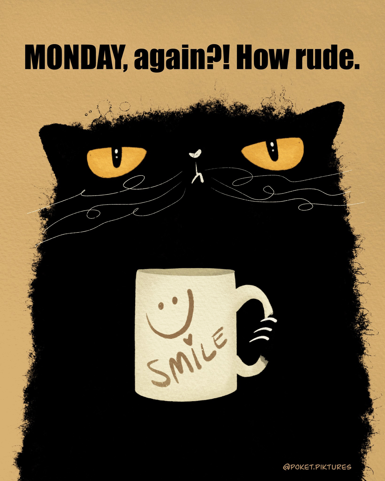 Poket - What?! 🤨 #mondaymood | Facebook