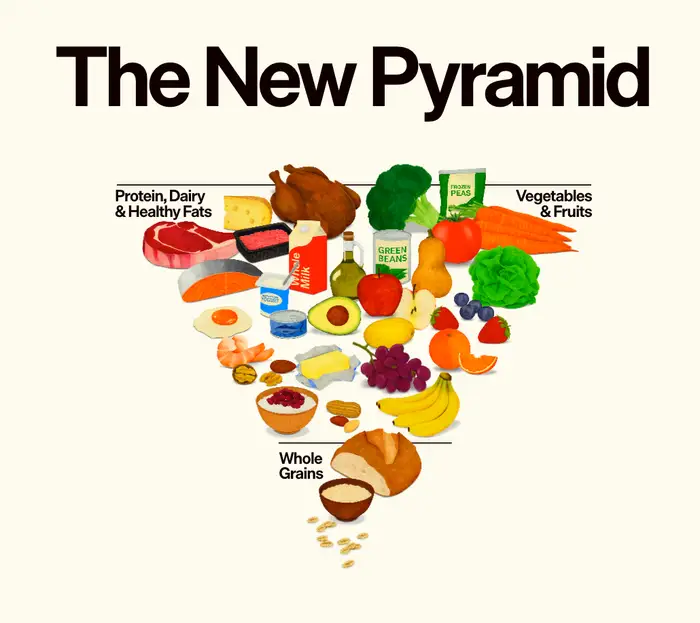 Zero - 🚨 The Food Pyramid Just Changed - Again. The new food pyramid ...