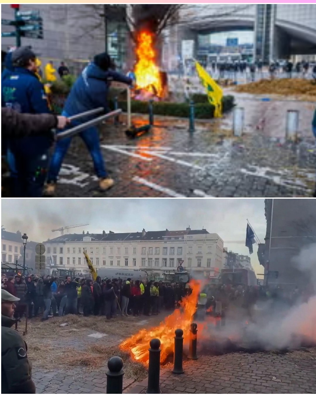 UK - 🚨 WARZONE IN BRUSSELS! 🚜🔥 FARMERS BURN CHRISTMAS TREE IN HISTORIC ...