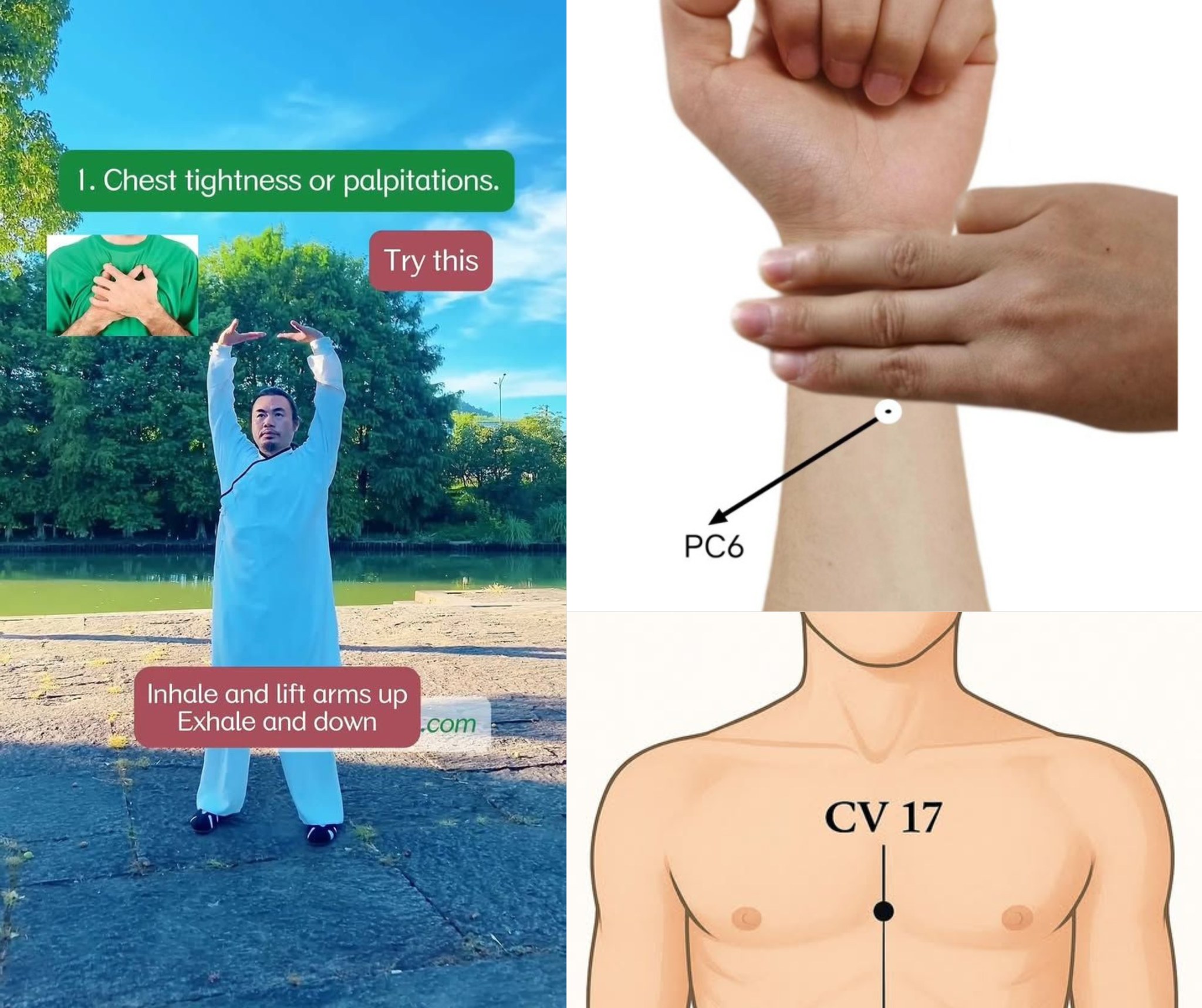 Taichi.zidong. - ⭐ Acupressure Points for Chest Tightness ...