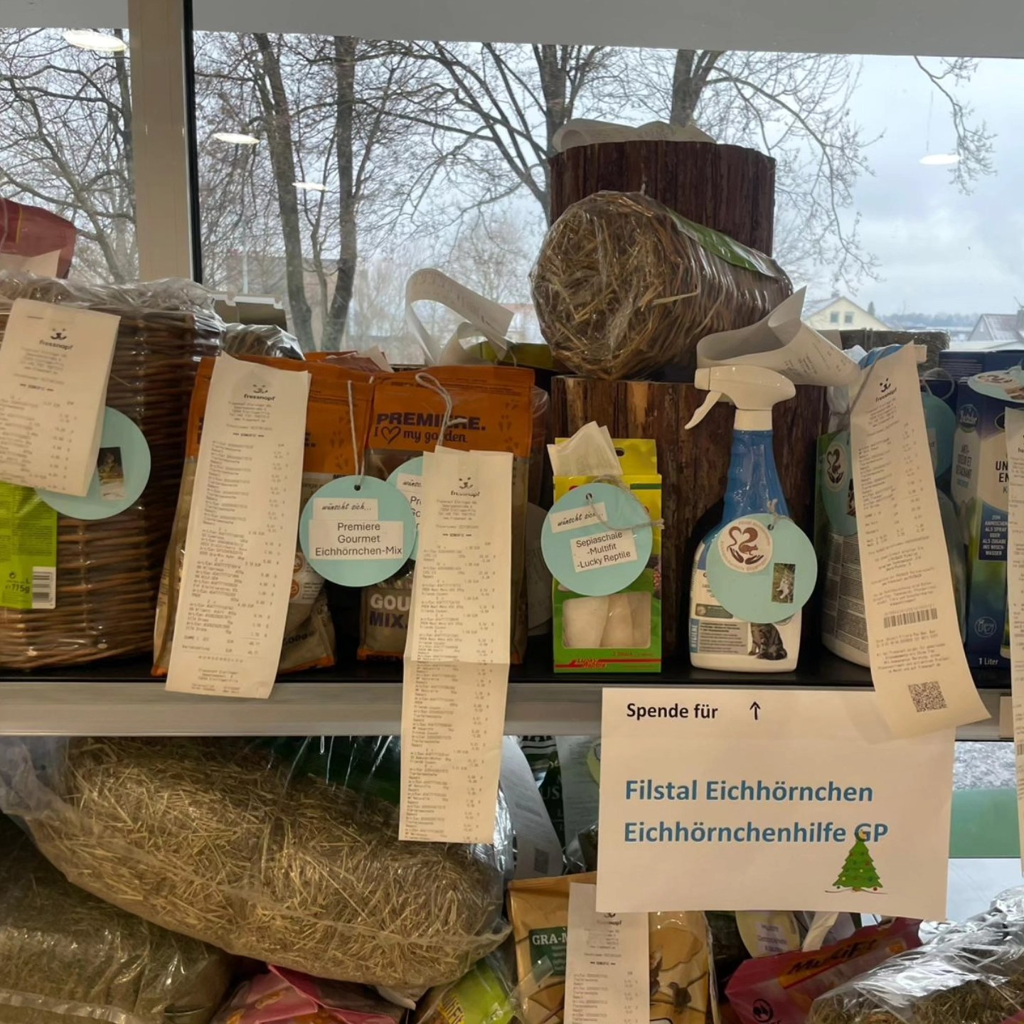 Filsta... - Filstal Eichhörnchen - Eichhörnchenhilfe Göppingen