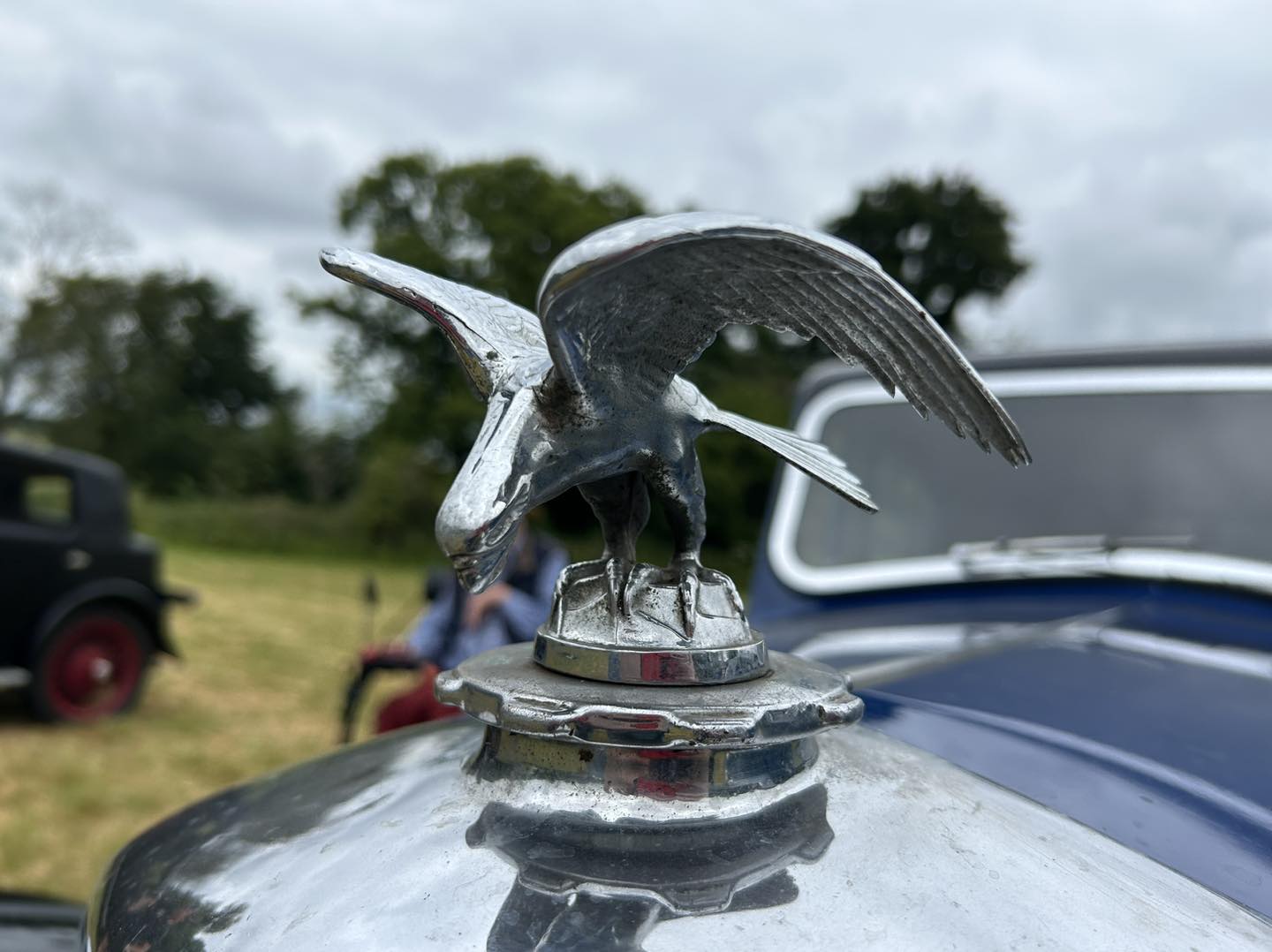 A lovely selection of radiator mascots... - Riley Motor Club