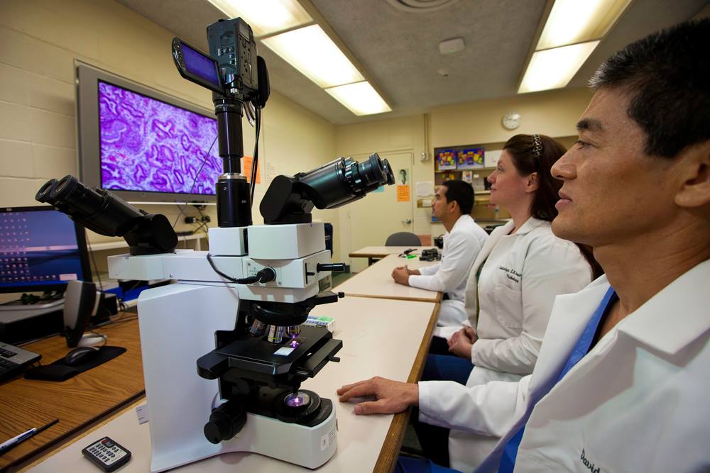 Hawaii Pathologists' Laboratory | Honolulu HI