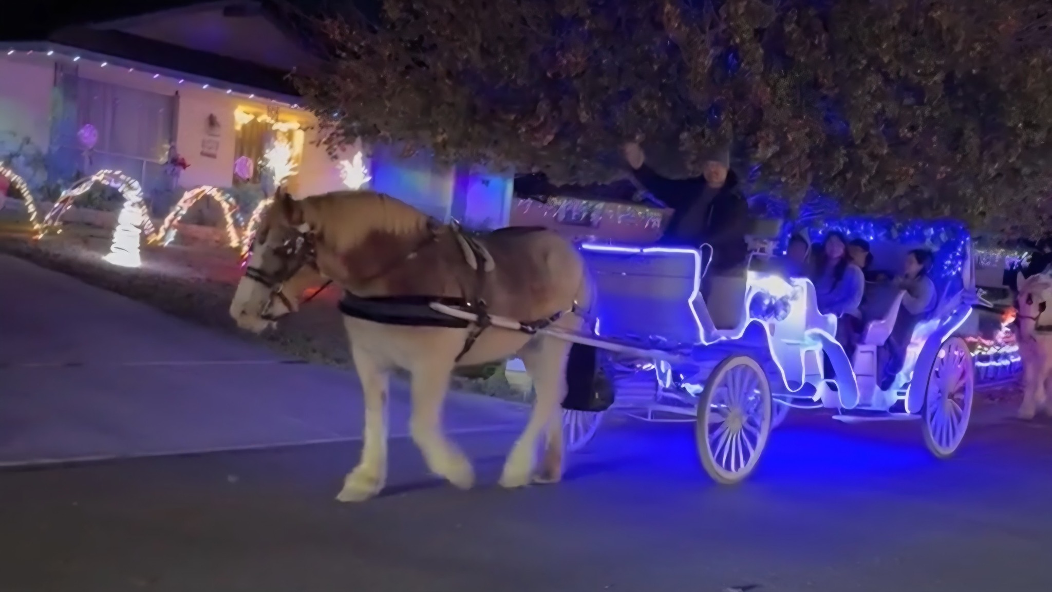 Windcrest Carriage Rides | Windcrest TX