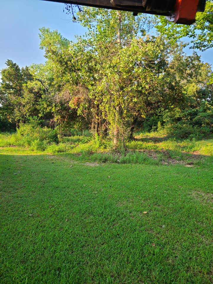 A.B.H Tree & Skidsteer Service | Shawnee OK