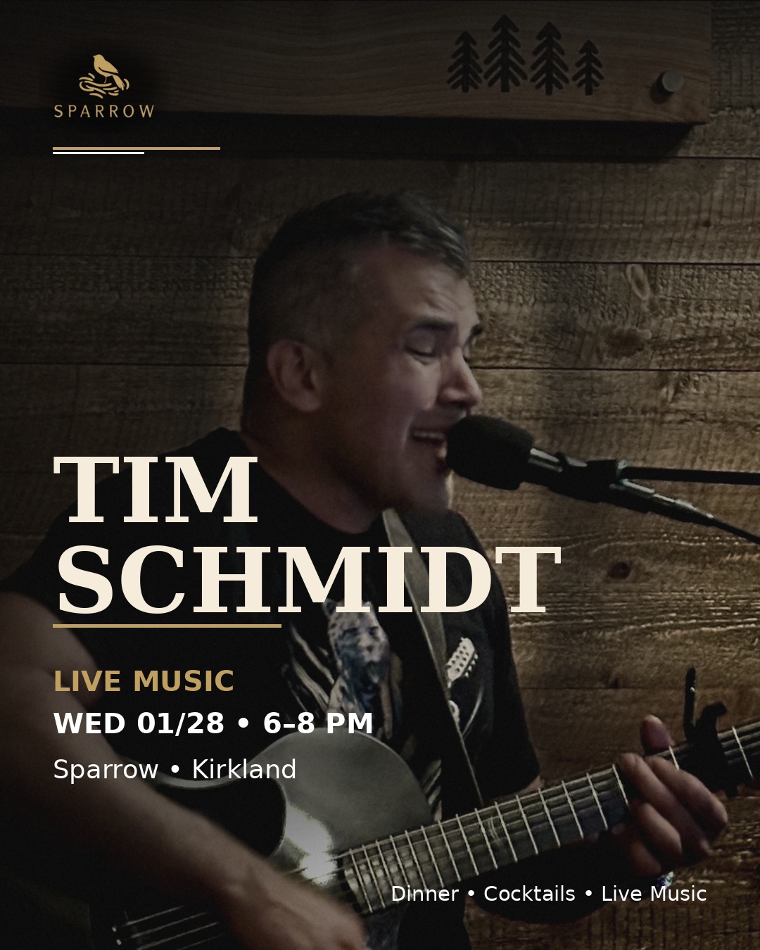 Tim Schmidt Live