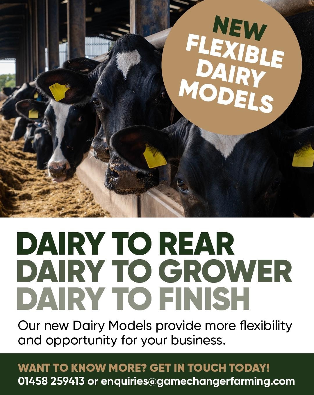 Gamechanger - Gamechanger is bringing more flexibility and opportunity ...