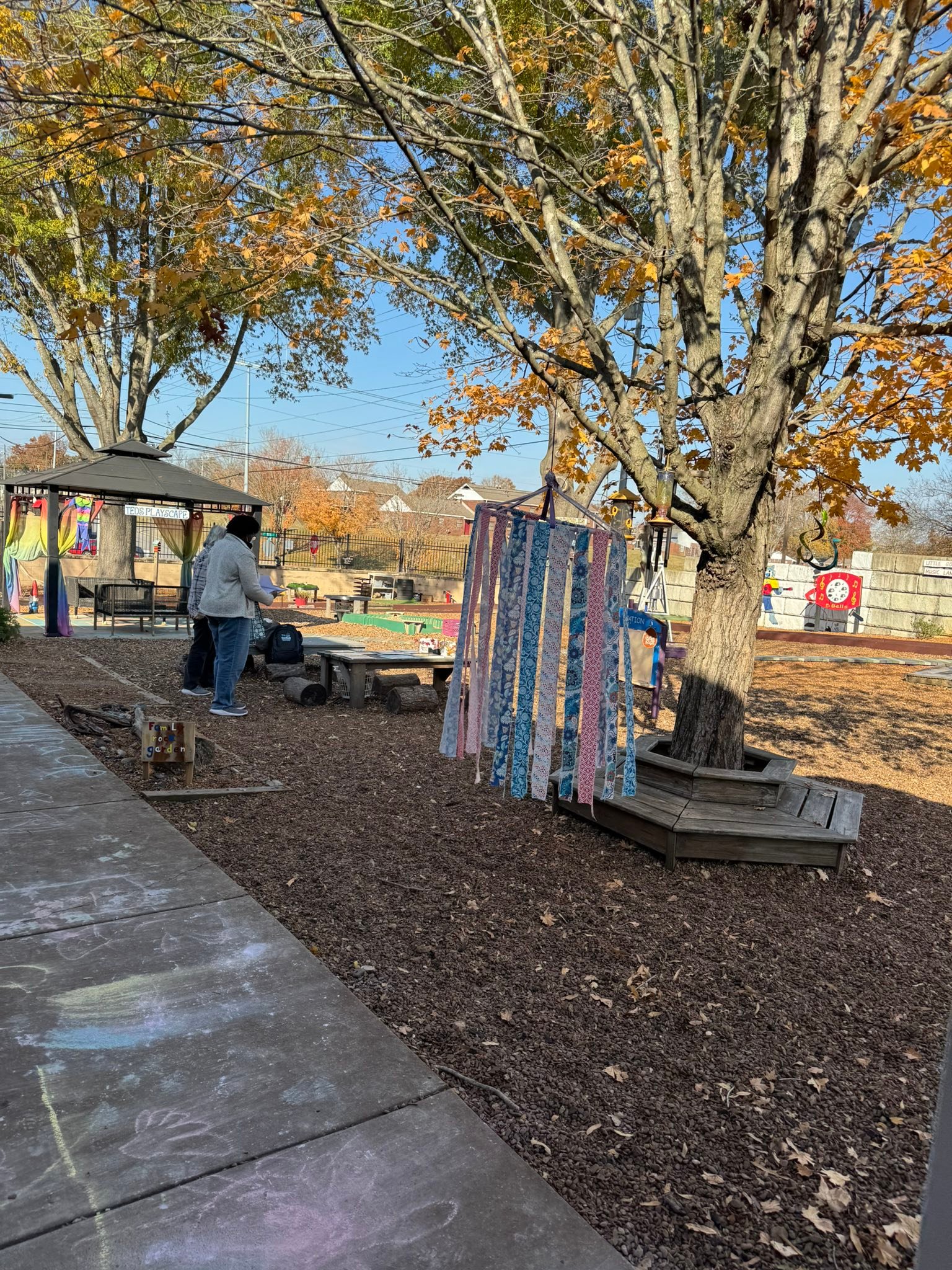 Tennessee Association for Children's Early Education