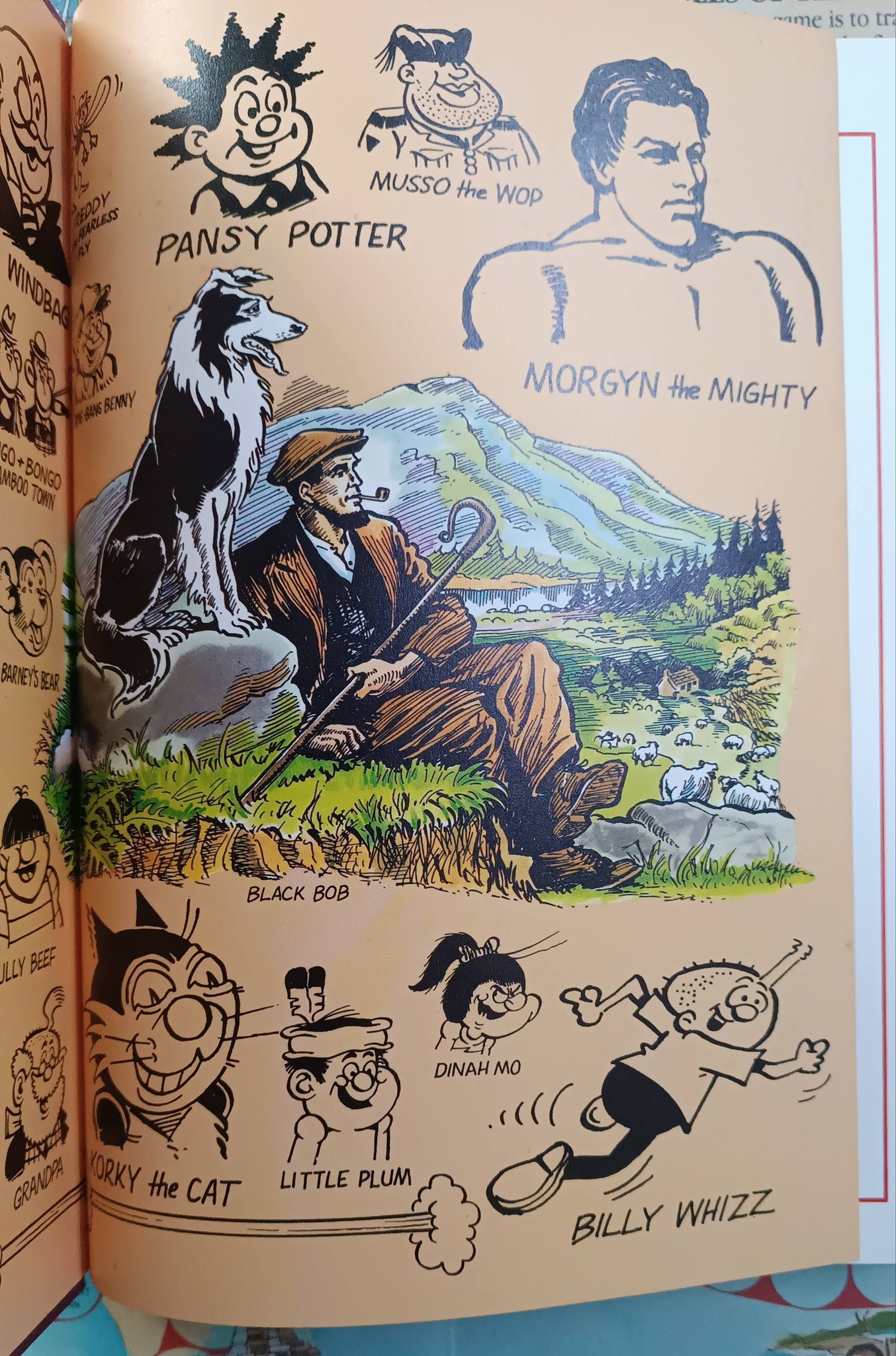 Vintage Dandy and Beano picture book