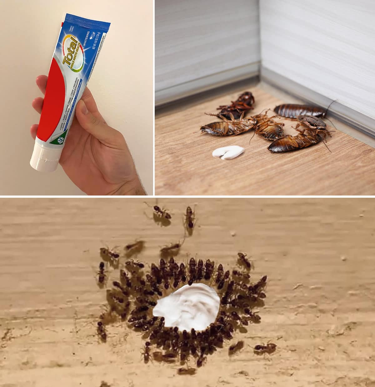 Il trucchetto del dentifricio è quello... - Rimedio Naturale