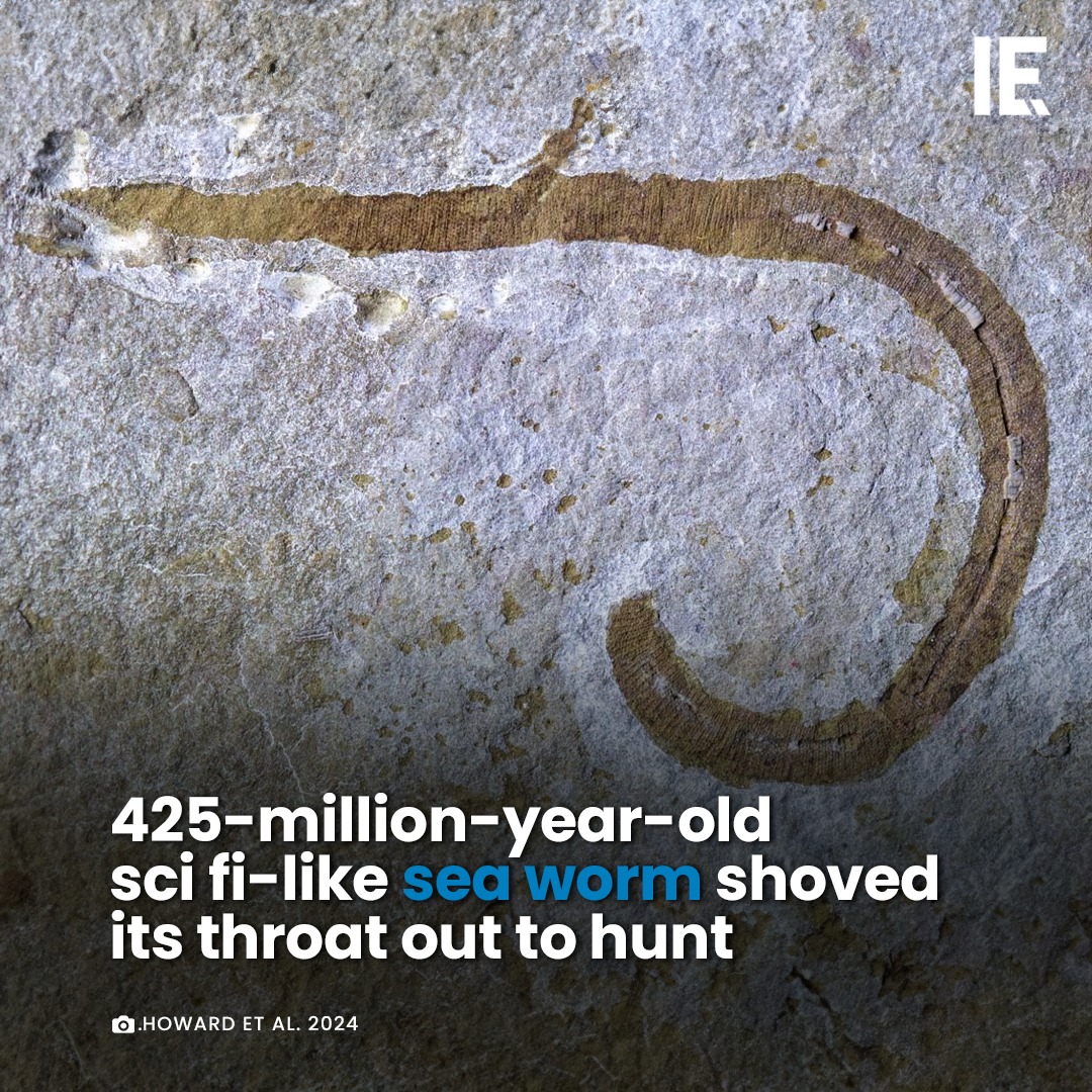 Ancient worm predator... - Interesting Engineering | Facebook