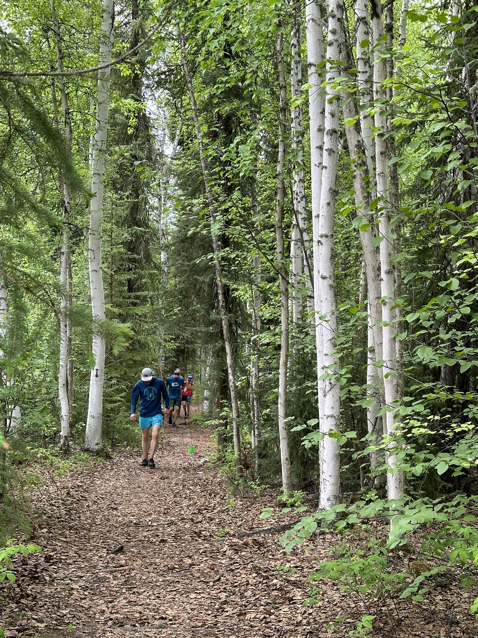 Alaska Endurance Trail Run