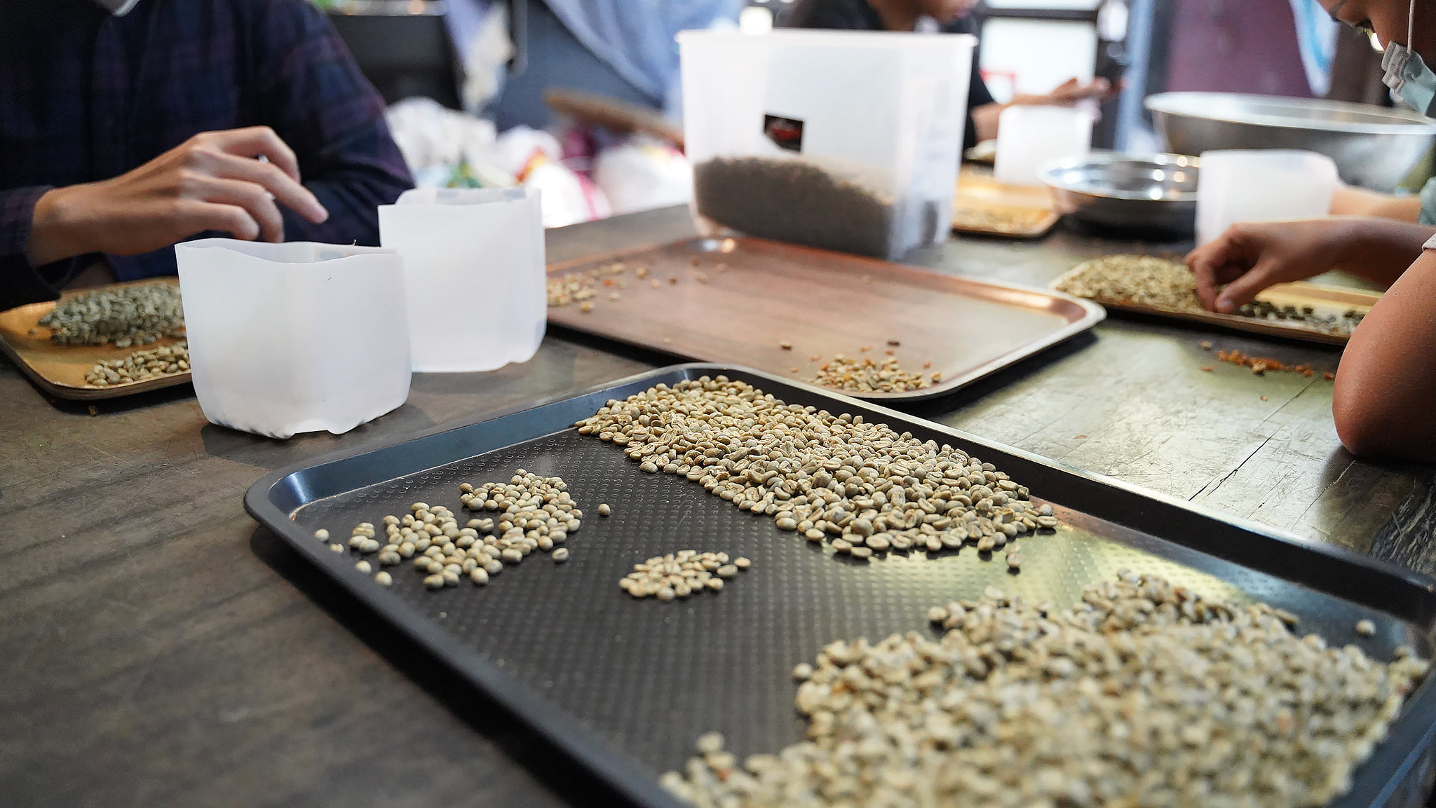 Nine One Coffee Chiang Mai... - Nine One Coffee Chiang Mai