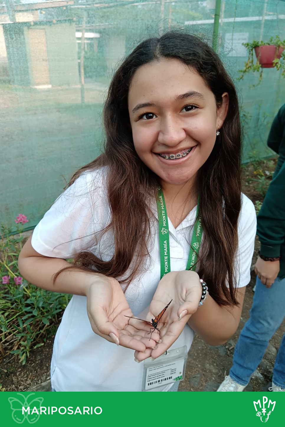¡Las maravillosas mariposas son... - Colegio Monte María