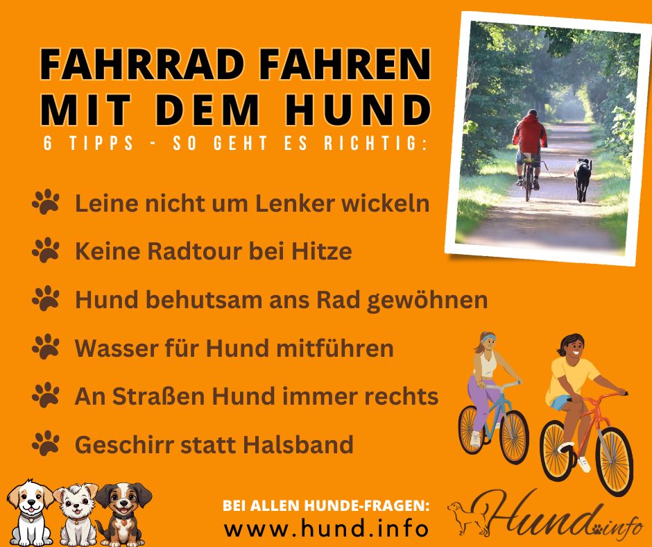 fahrrad satteltasche rennrad wasserdicht – Kompakte Tasche für & MTB – ReverbRide Farbe:Anthrazit Metallic T.Flight Hotas One Microsoft Price-Range: £0 - £49.99