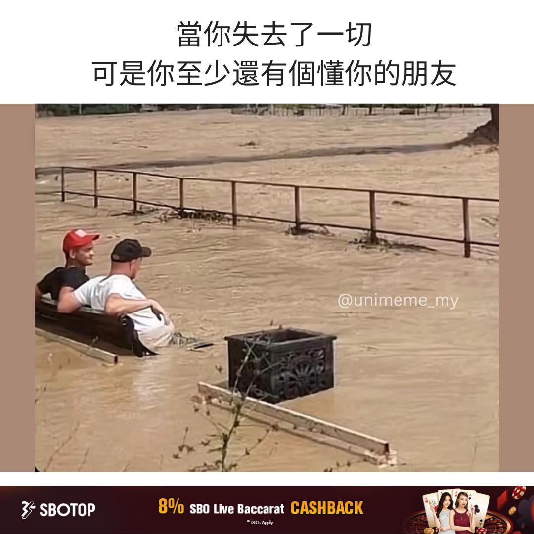 還有人懂你 . IG: unimeme_my . . #梗 #梗圖... - 讲鸟话迷迷 Bird Talk Meme | Facebook