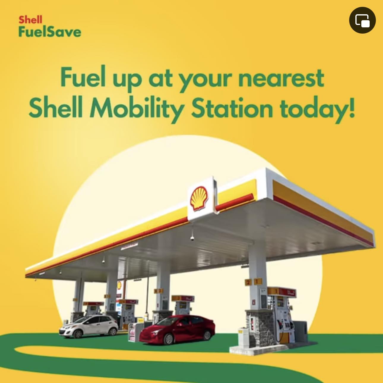 Shell Eton | Santa Rosa