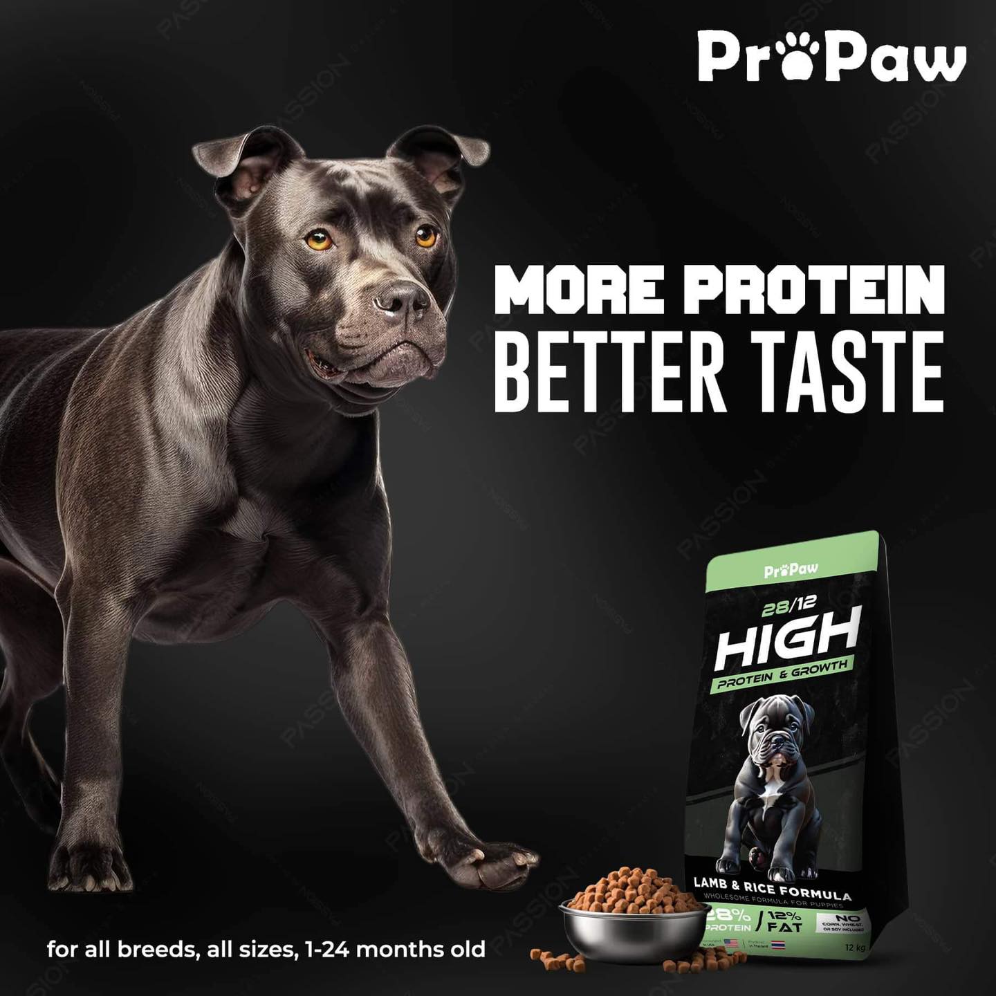 ProPaw - Myanmar