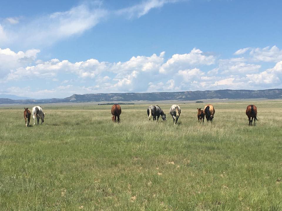 Ted Turner Reserves added a new... - Ted Turner Reserves