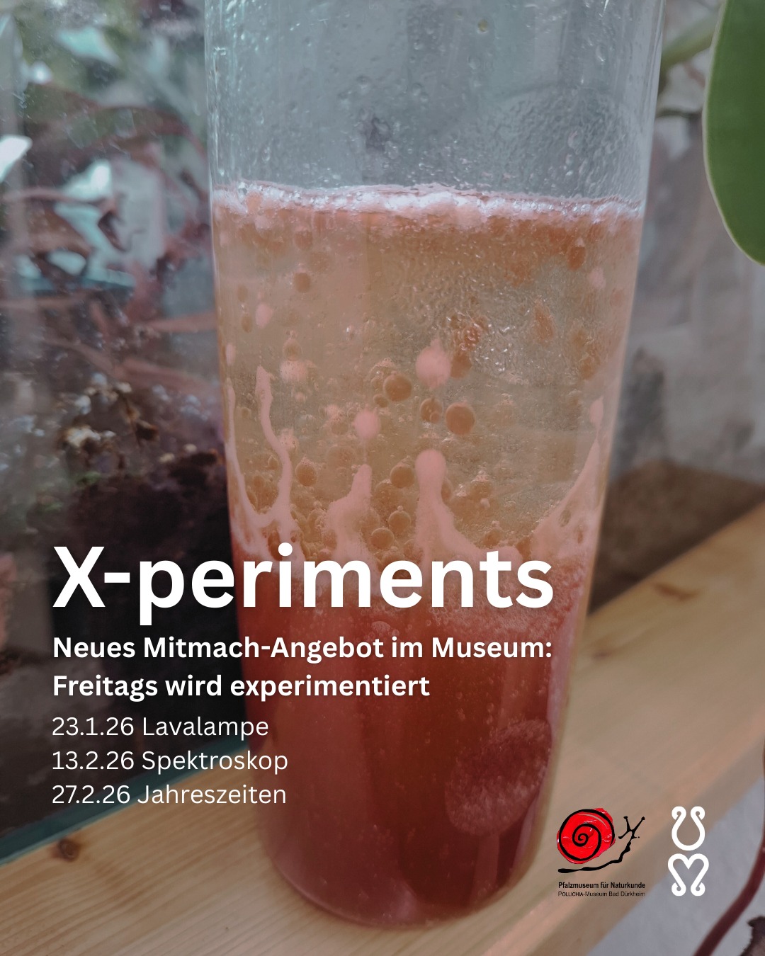 Stadt - 🔬 X-periments im Museum – freitags selbst experimentieren Neues ...