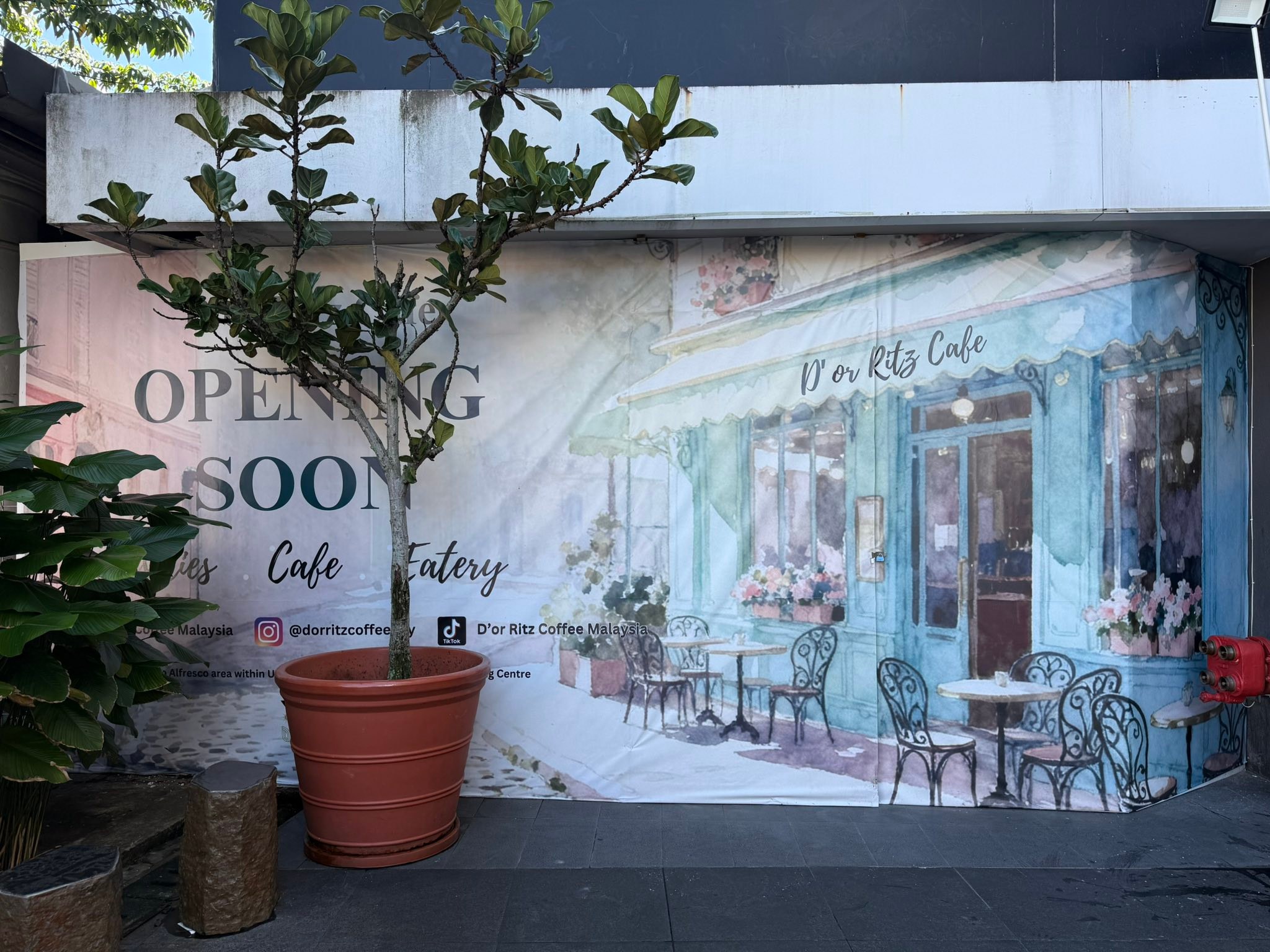D’or - ATTENTION ‼️‼️‼️ Our Premium Coffee is here! Thanks for your ...