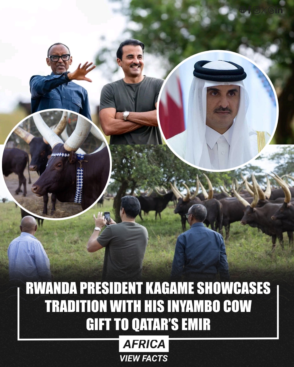 Africa - Rwanda 🇷🇼 President Paul Kagame gave the Emir of Qatar, Sheikh ...