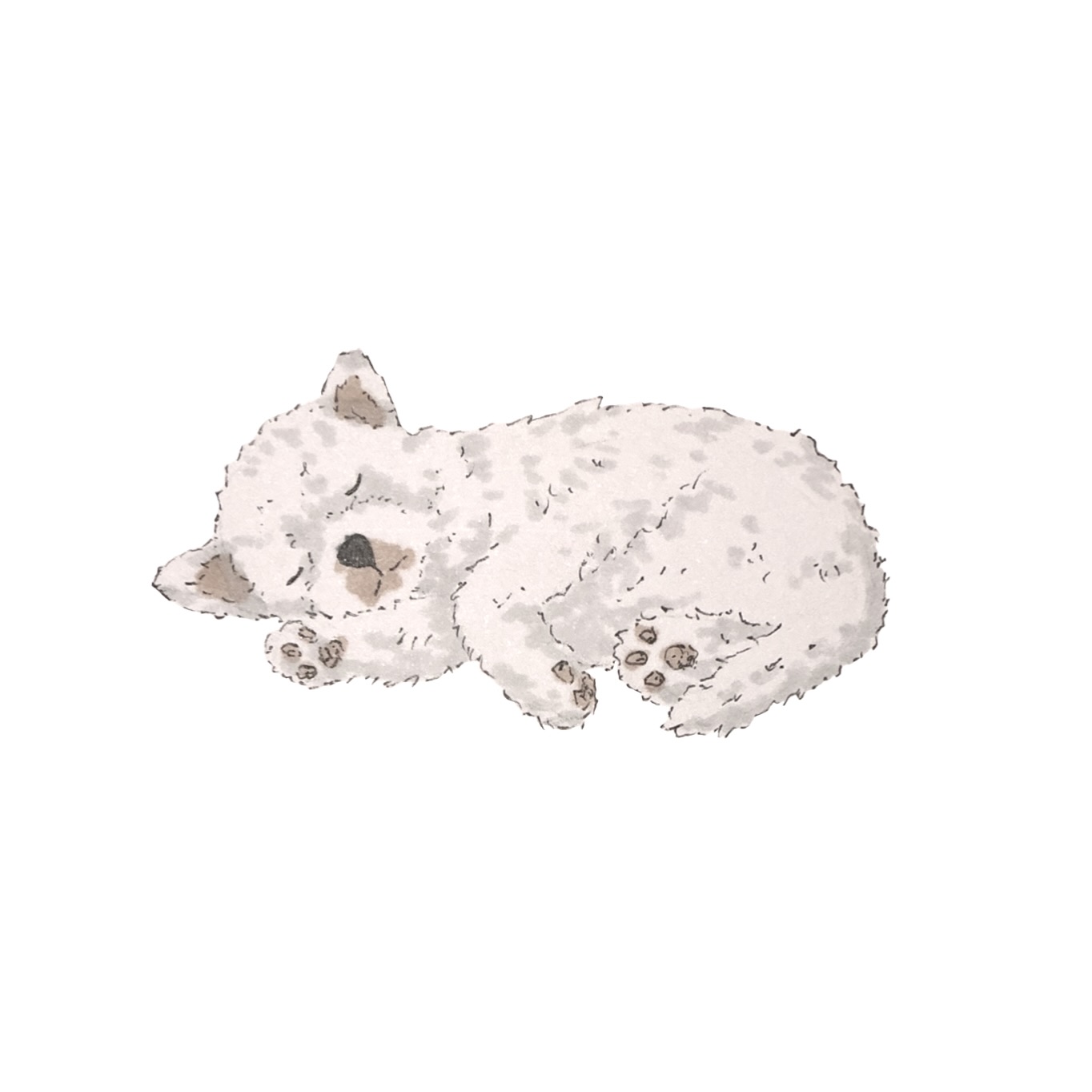Chloe Hartnell Art