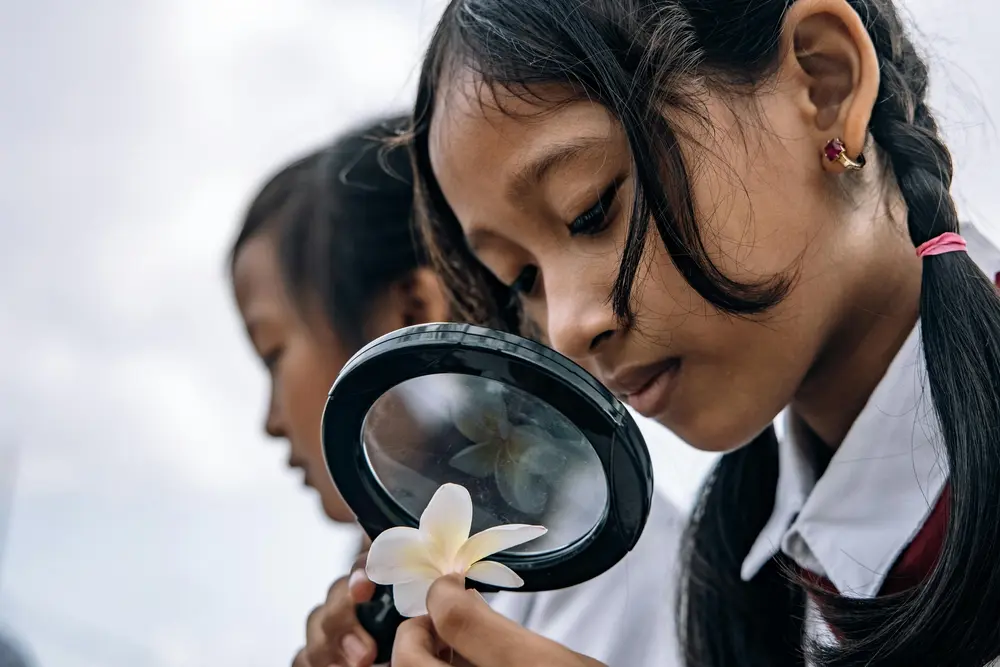 🧪 The Curiosity Coop: A STEAM Program for Little Thinkers