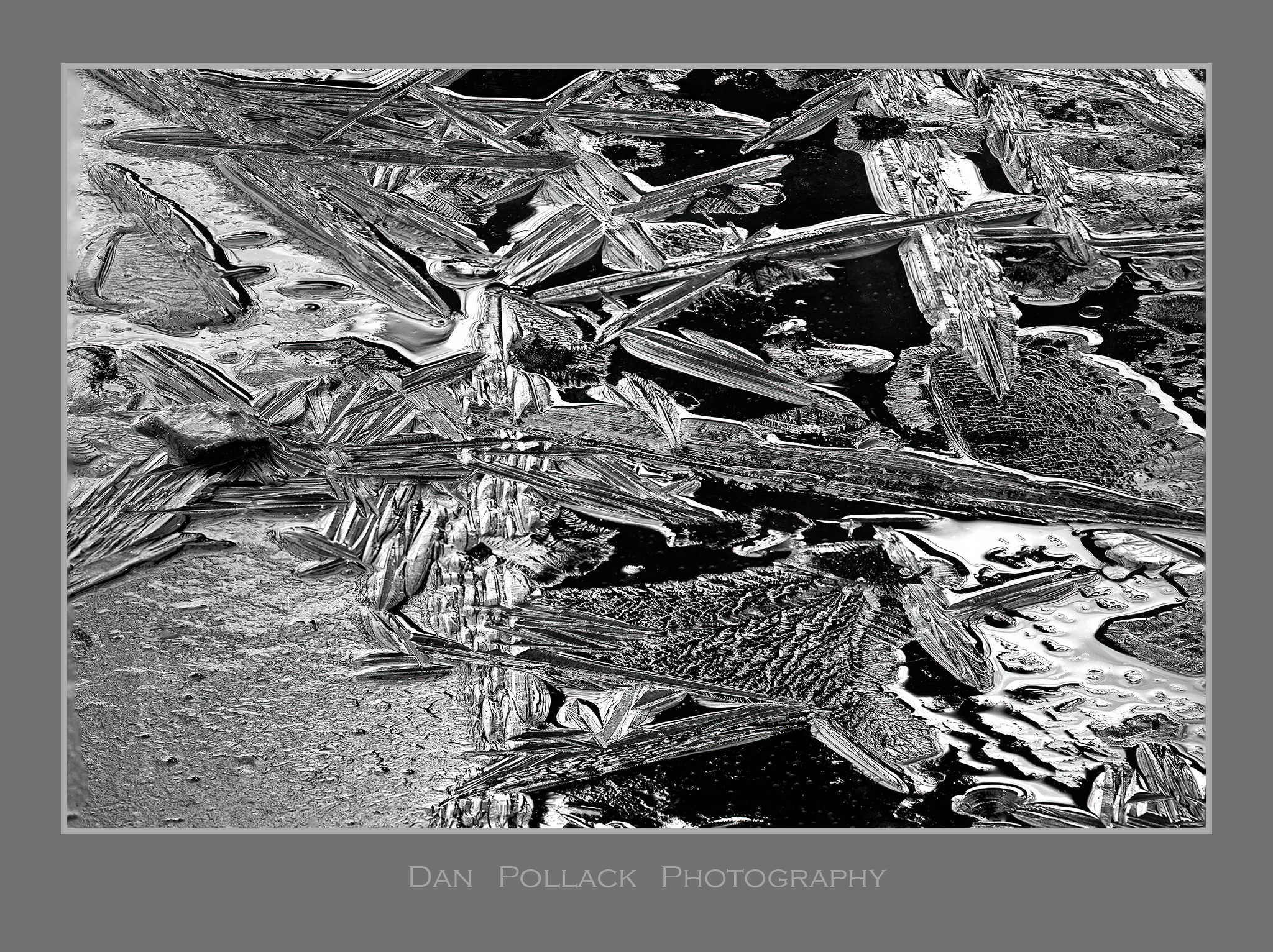 Dan Pollack Photography