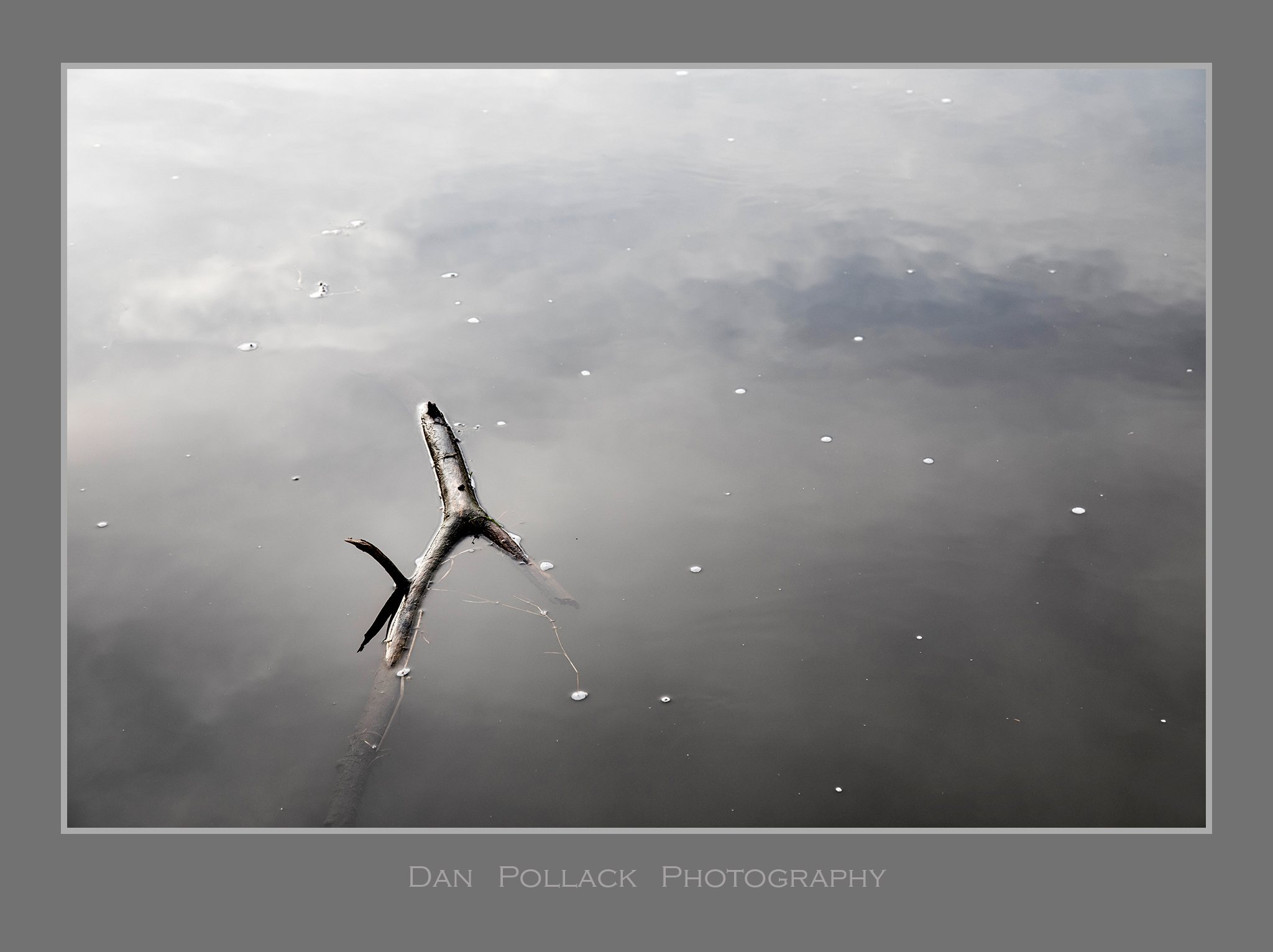 Dan Pollack Photography
