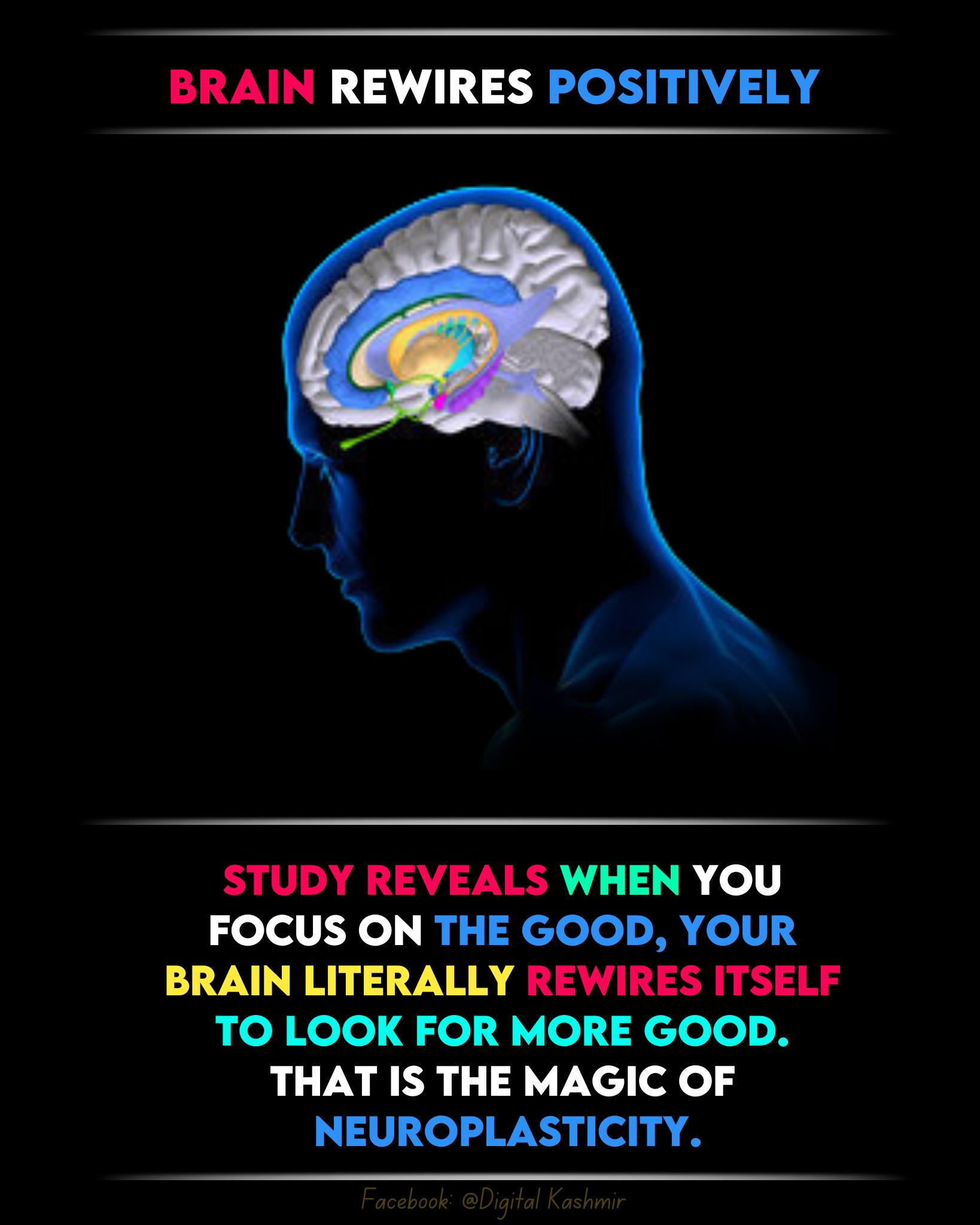 Digital - Neuroscientists report that your brain strengthens whatever ...