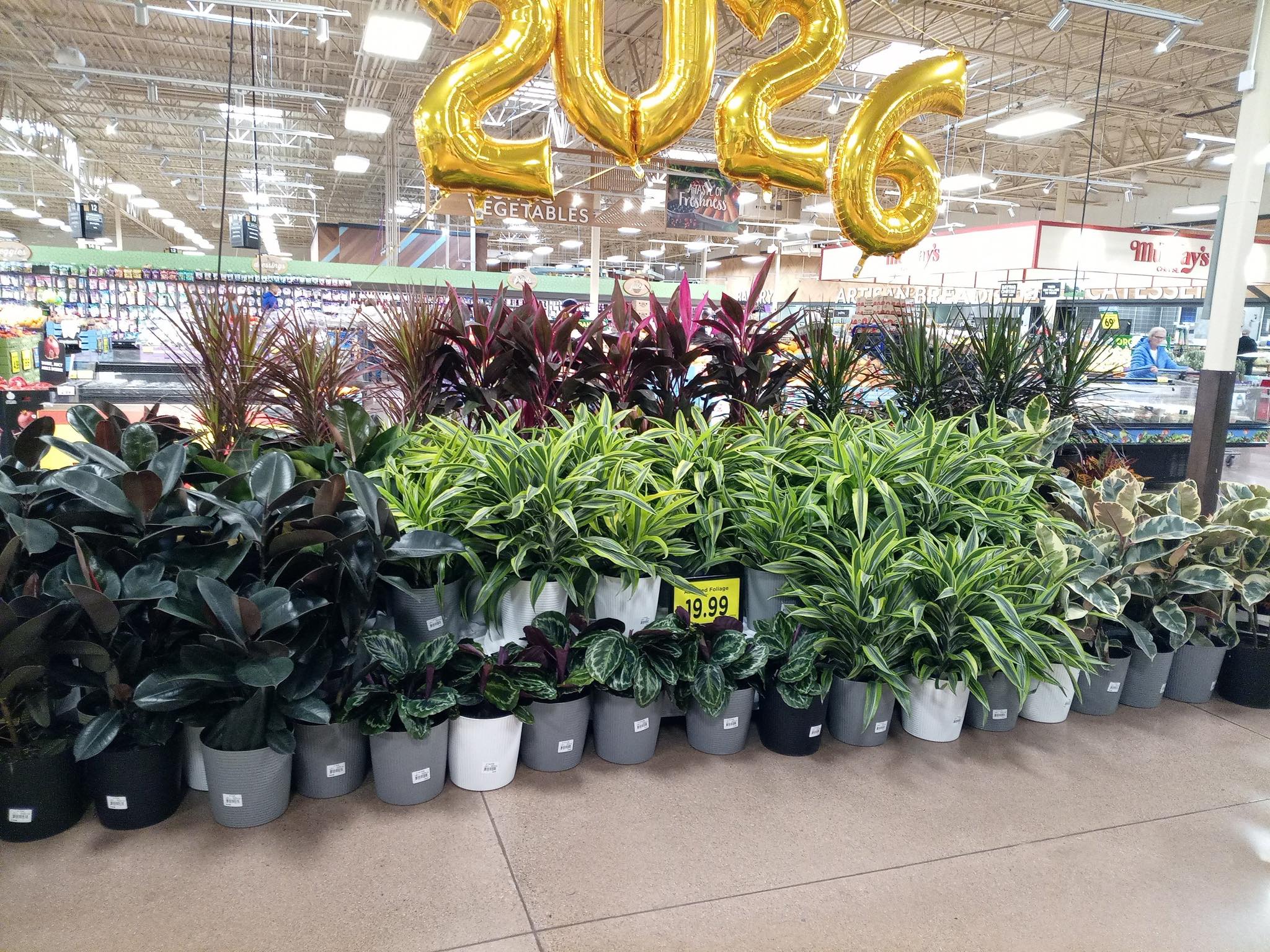 National Garden Service | Sandusky OH