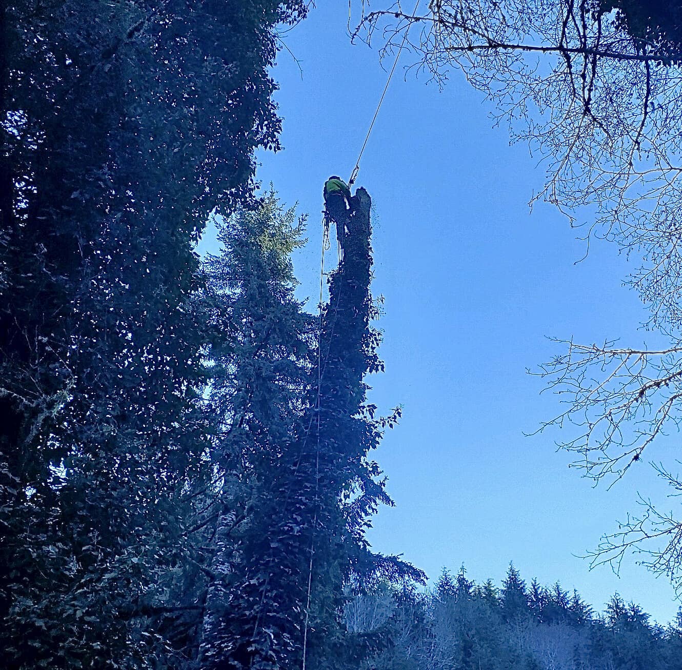 ER Tree Service LLC | Otis OR
