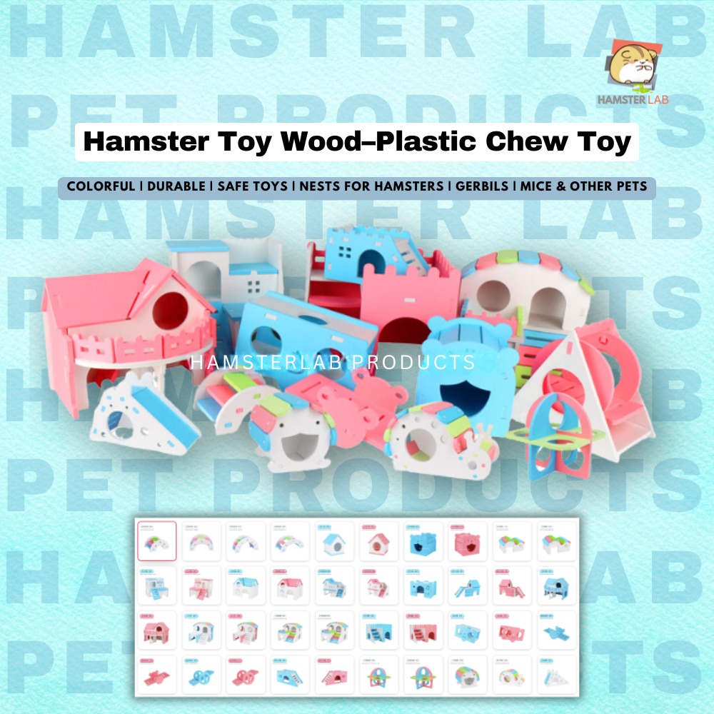 Photo inspiration: Place Hamster Says Play Reference: Hamster Lab
