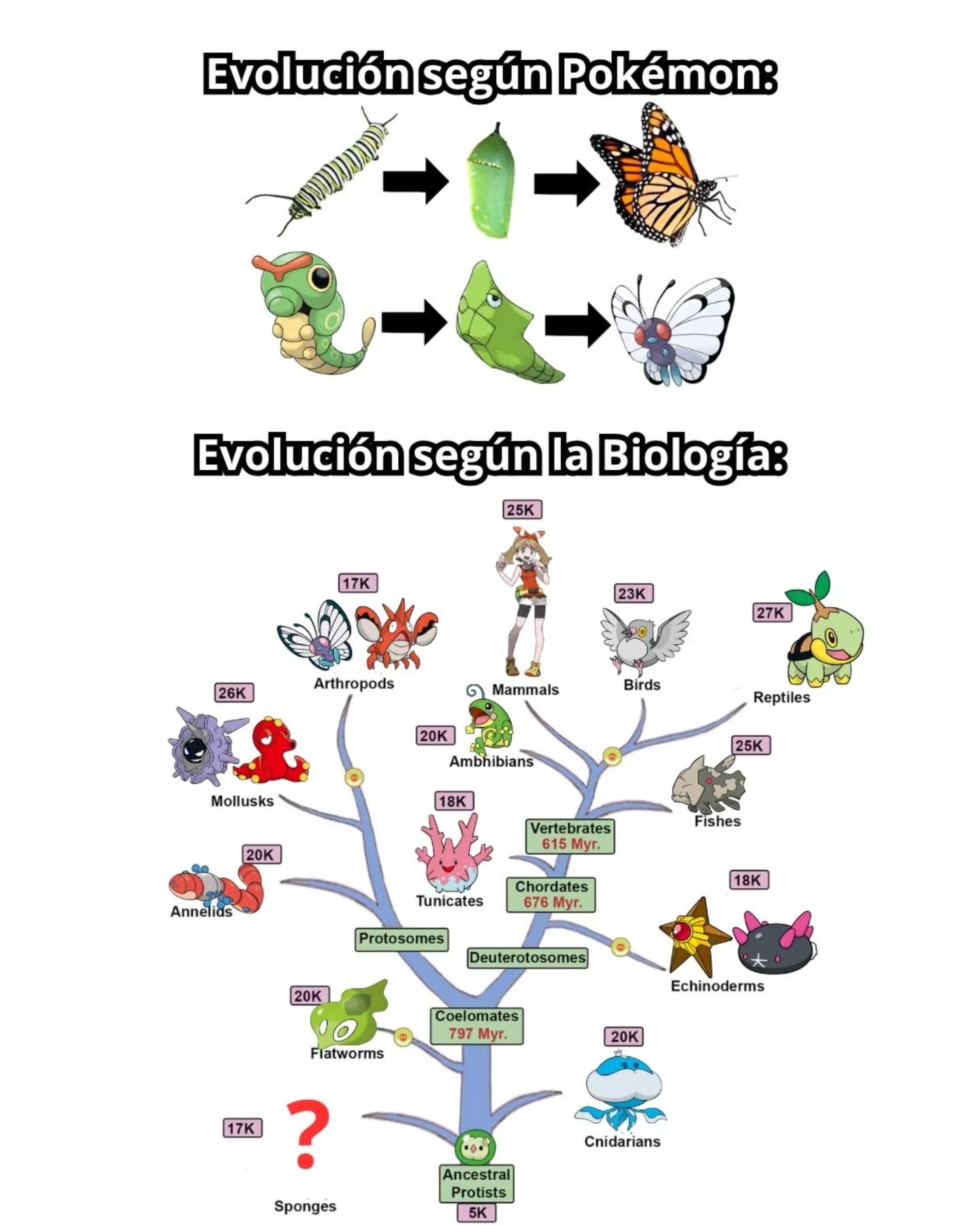 Poketiempo MX
