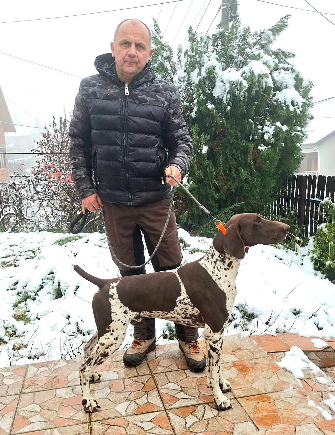 gsp_kennel_of_rajkovic_djuro