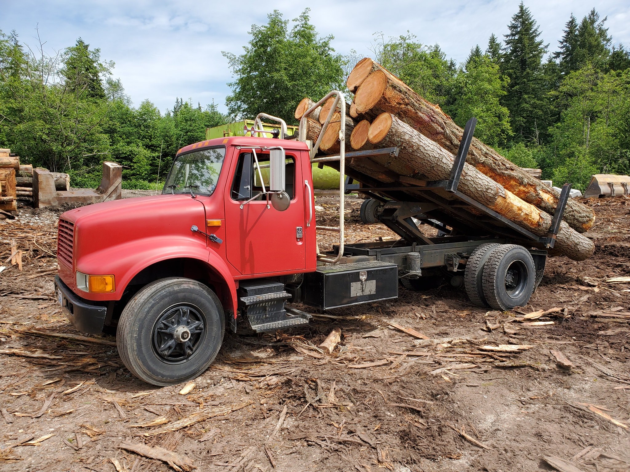 Northwest Roots Tree Service