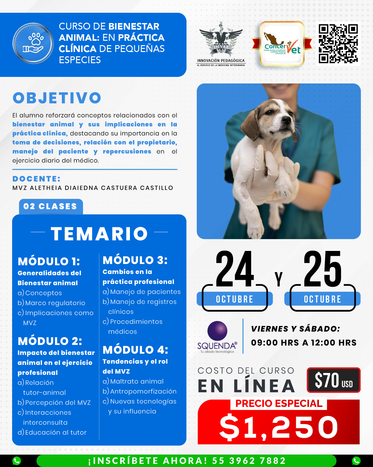 INVAE - ⭐️ AVALADO POR CONCERVET⭐️ El bienestar animal no solo ...