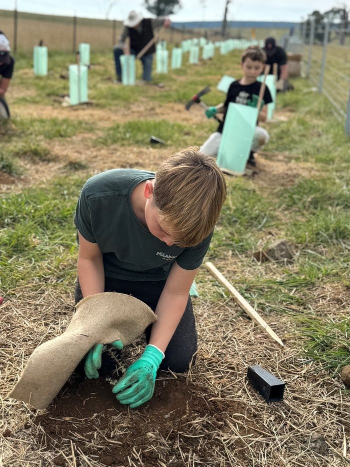 Global Tree Initiative Australia | Melbourne VIC