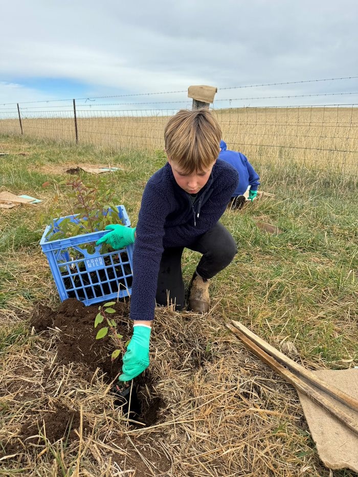 Global Tree Initiative Australia | Melbourne VIC