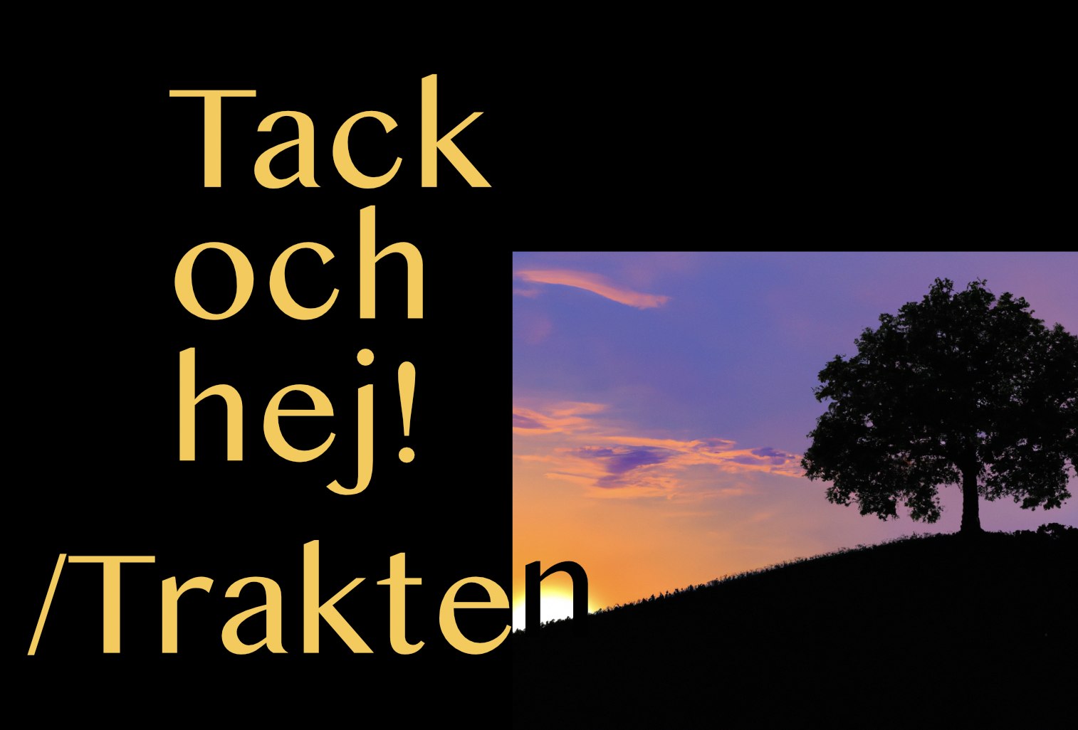 Trakten - Trakten added a new photo.
