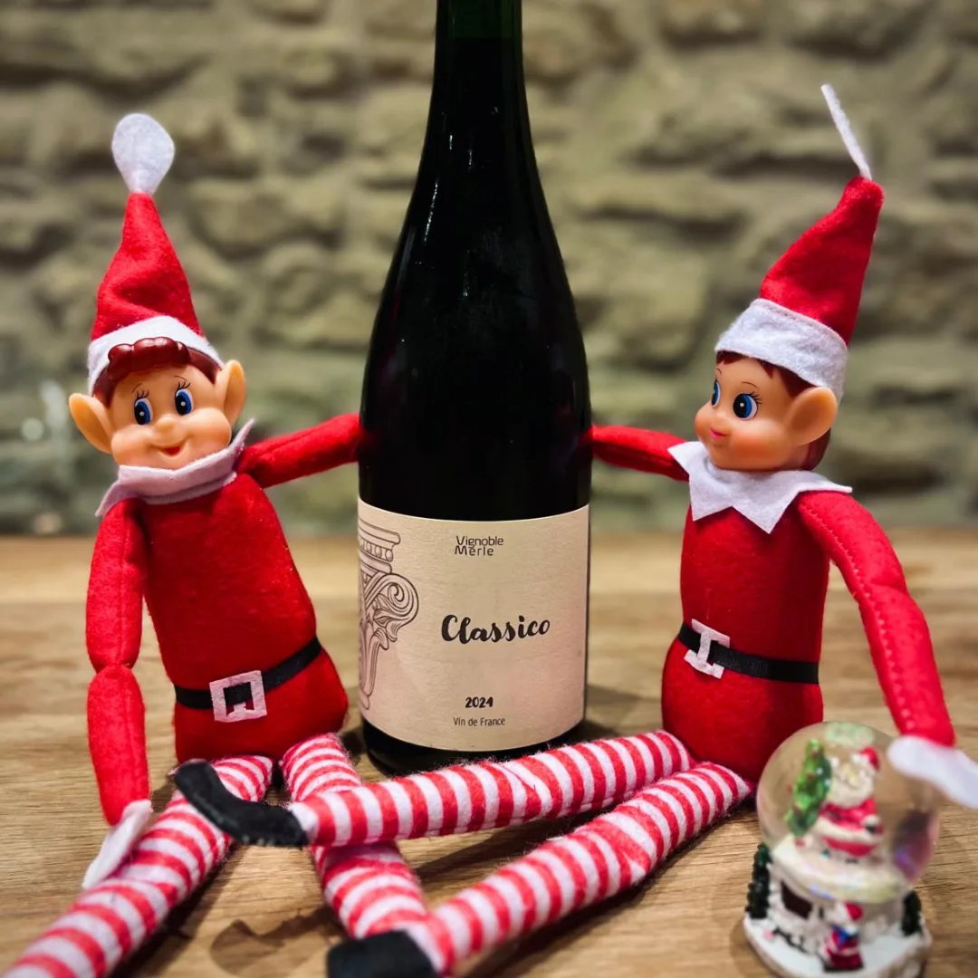 Vignoble Benoît Merle | Saint Alban