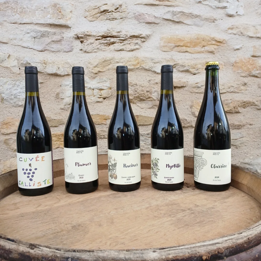 Vignoble Benoît Merle | Saint Alban