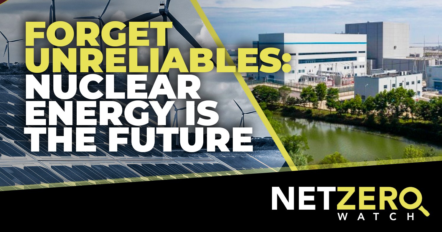 Net Zero Watch - A large-scale nuclear power station in... | Facebook