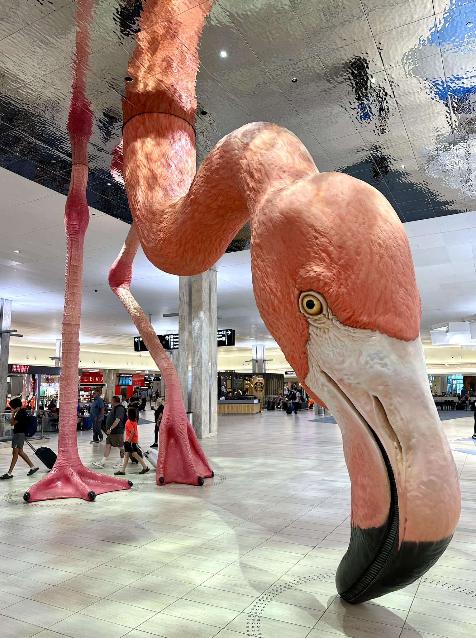Meet me at the flamingo so I know it's real ❤️🦩