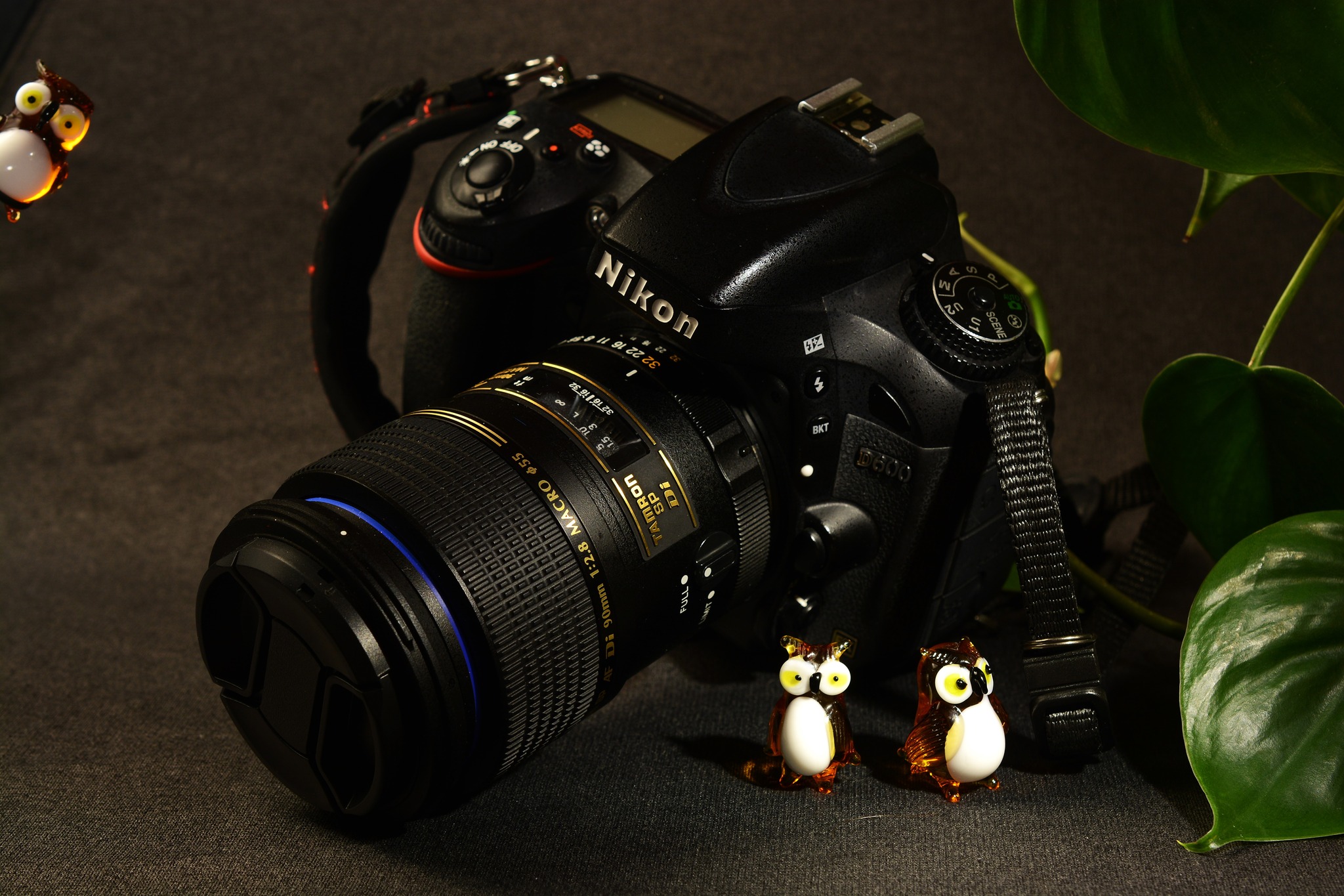 Nikon D600 Full Frame Camera with Tamron 90mm f/2.8 Macro Lens