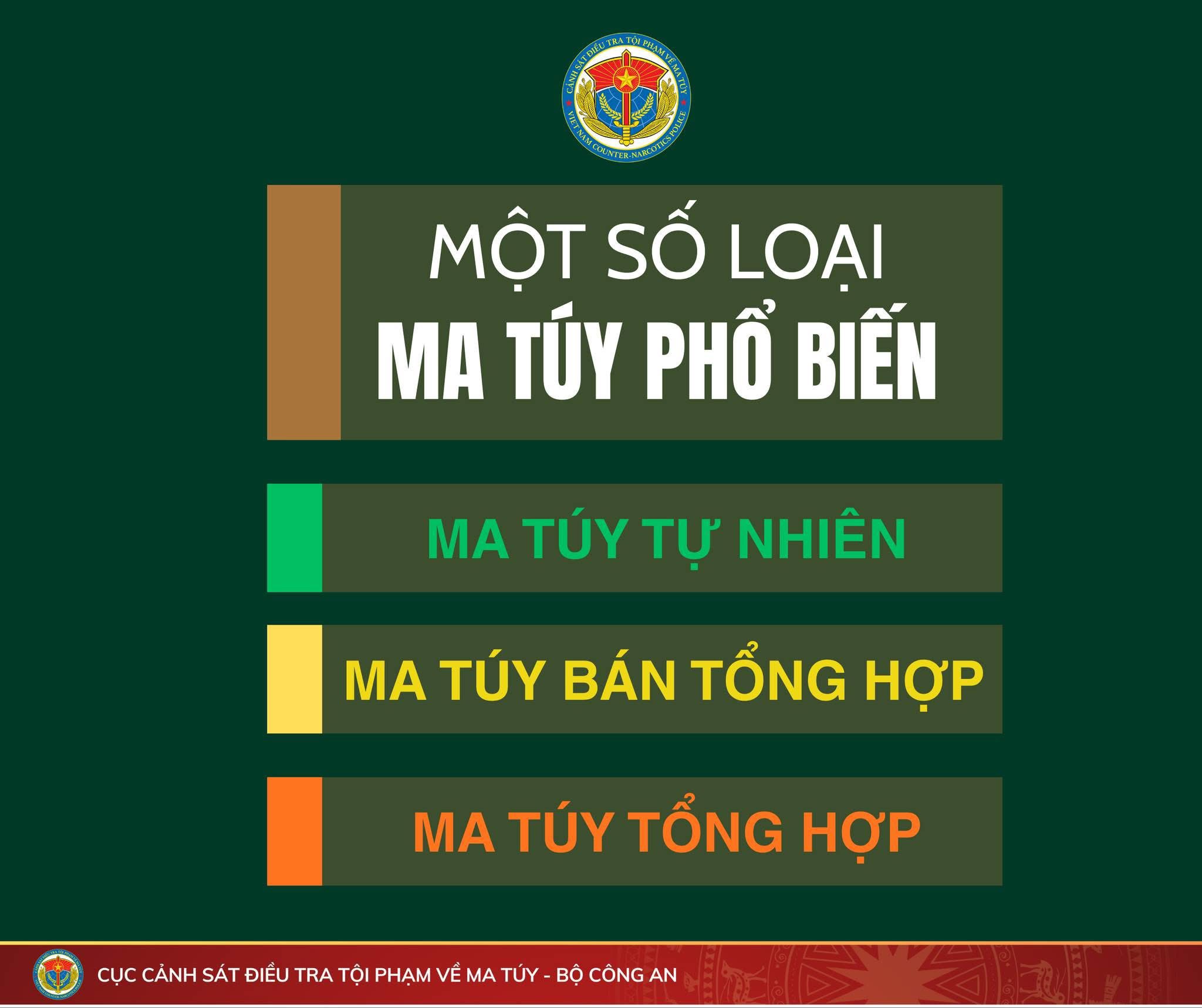 Cái nhìn tổng quan về một số loại matuy phổ biến hiện nay. Và hậu quả ...