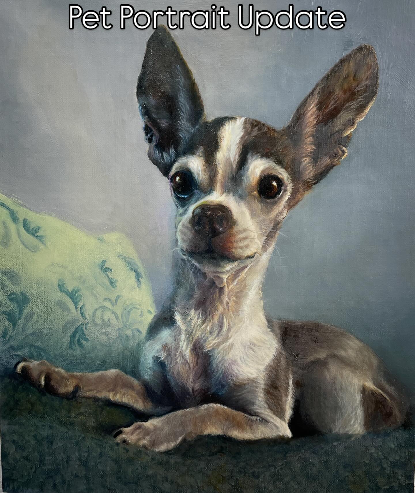 Laps - Update on Our Pet Portrait Raffle (Early 2025): If you follow us ...