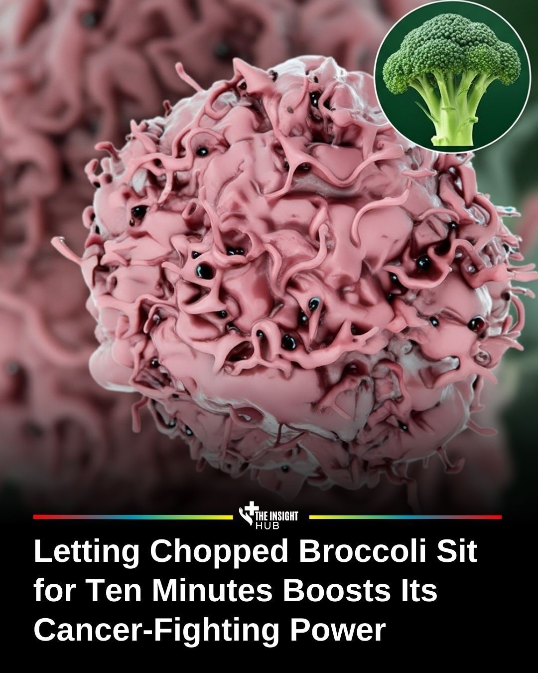 The Insight - Scientists have discovered that chopping broccoli and ...